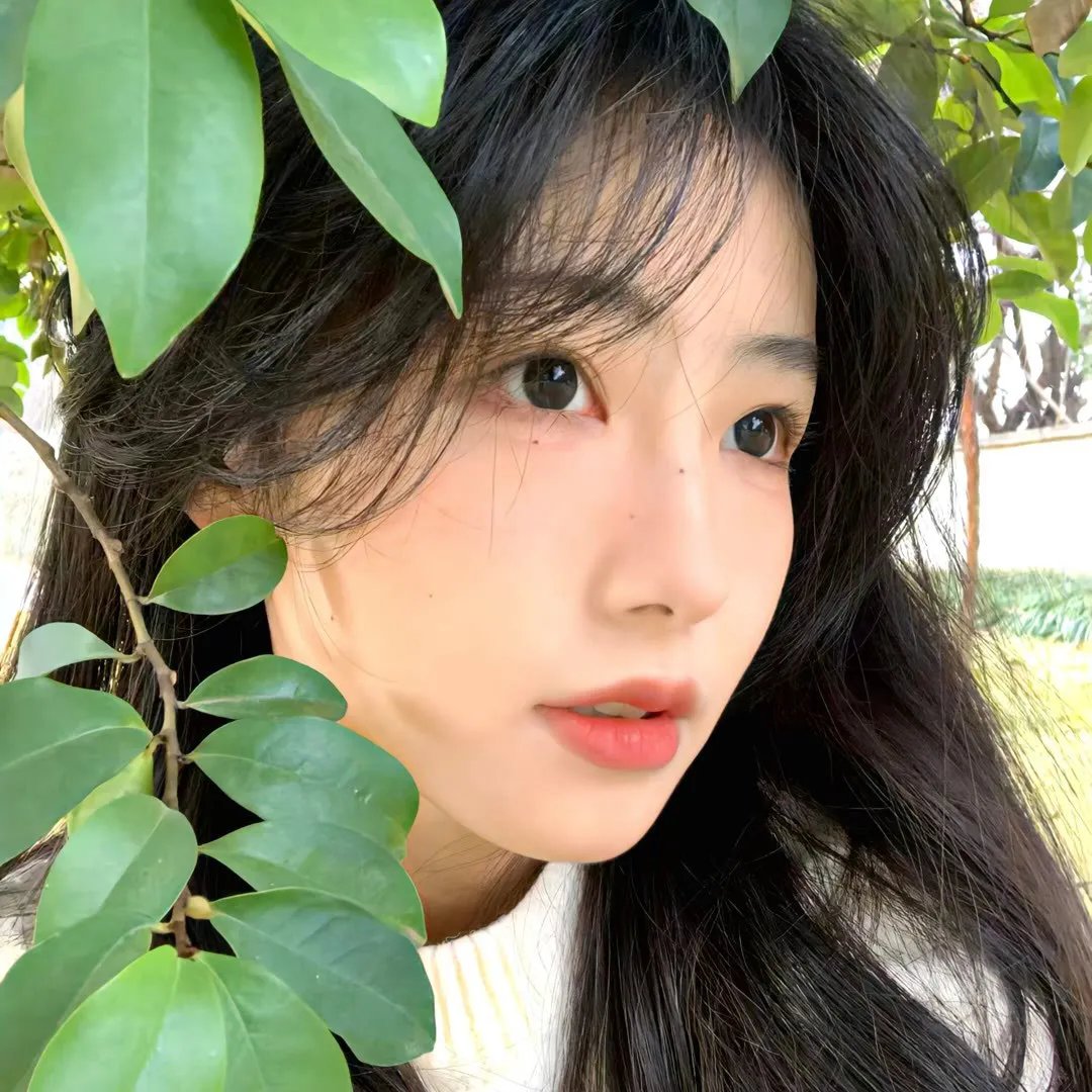 误入神秘岛